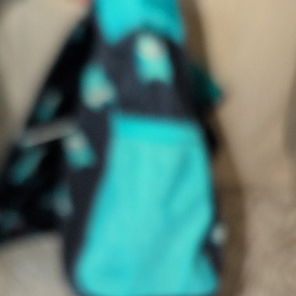 Gap Navy Blue And Teal Owl School Bag -